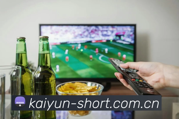 多媒体互动体验